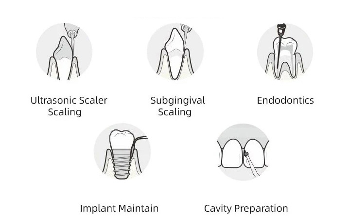 VolDent Type2 Dental LED Ultrasonic Scaler Fit EMS & Mectron